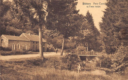 RIÈZES (Hainaut) Petit Canton Et L'eau Noire - Other & Unclassified