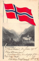 Norway - Hotel Stahlheim - Norway Flag - Publ. C. Sinner - Norwegen