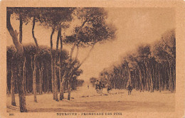 Liban - BEYROUTH - Promenade Des Pins - Ed. Sarrafian Bros. 963 - Líbano