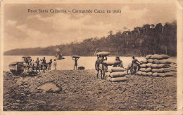 SAO TOME - Santa Catharina Farm - Loading Cocoa On The Beach. - Sao Tome En Principe