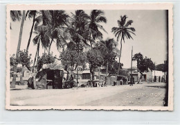 Sénégal - SAINT-LOUIS - Une Avenue - CARTE PHOTO - Ed. E. Sursock  - Sénégal