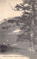 Chalet Des Crébillons (VD) Aiguille De Baulmes - Ed. A. Deriaz 935 - Autres & Non Classés