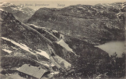 Norway - Ved Myrdal, Bergensbanen - Publ. Mittet & Co. 117 - Norvegia