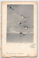 Suisse - Genève - Mouettes Carte Parchemin Paul Jacom - Ed. Inconnu  - Genève