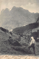 HEUER IM GRINDELWALDTAL (BE)  - Verlag Wehrli 13545 - Grindelwald