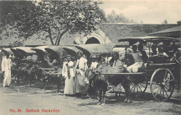 Sri Lanka - Bullock Hackeries - Publ. Andrée  - Sri Lanka (Ceylon)