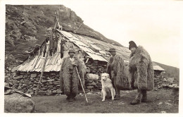 Romania - Ciobanii Inaintea Stanei - Foto J. Fischer, Sibiu 1156 - Rumänien