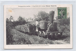 GUADELOUPE - Train De Cannes à Sucre - Ed. Rhum Chauvet 31 - Autres & Non Classés