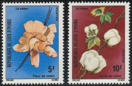 THEMATIC AGRICULTURE:  COTTON CULTIVATION, COTTON FLOWERS AND COTTON CYCLE    -   COTE D'IVOIRE - Agricultura