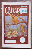 Le Canari, Par Ornito---Imprimerie Havaux - Namur, Sans Date - Sonstige & Ohne Zuordnung