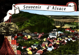 Oltingue Souvenir D'Alsace ( Vue Aérienne, Cigogne...timbrée En 1974 - Sonstige & Ohne Zuordnung