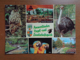 Zoo, Dierenpark, Tierpark / Ammerlander Vogel Und Landschaftspark -> Unwritten - Oiseaux