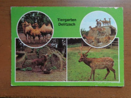 Zoo, Dierenpark, Tierpark / Tiergarten Delitzsch -> Written - Sonstige & Ohne Zuordnung