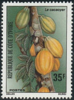 THEMATIC AGRICULTURE:  THE COCOA TREE    -   COTE D'IVOIRE - Agricultura