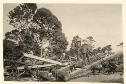 Vietnam Laos Cambodge ? * Scieurs De Long * Métier Bois Scierie * éthnique Ethno Ethnic * Photo 8.5x5.6cm - Vietnam