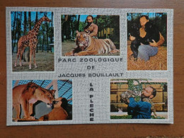 Zoo, Dierenpark, Tierpark / Parc Zoologique De Jacques Bouillault, La Fleche -> Unwritten - Tijgers