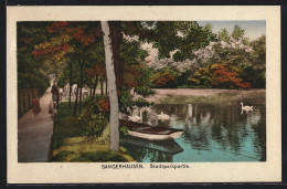 AK Sangerhausen, Schwäne Im Stadtpark  - Sangerhausen