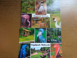 Zoo, Dierenpark, Tierpark / Vogelpark Walsrode, 2 Karten -> Unwritten - Oiseaux