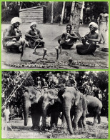 (Lot De 2) CPA CEYLON (Sri Lanka) SNAKE CHARMERS + WILD ELEPHANTS JUST CAPTURED - Sri Lanka (Ceilán)
