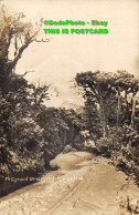 R419256 Mt. Egmont Drive In Winter. F. G. R. 5105. RP - Monde