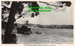 R418482 N. Z. Stewart Island. Half Moon Bay. Tourist Dept - Monde