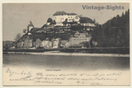 Bern / Switzerland: Schloss Laupen (Vintage PC 1905) - Laupen