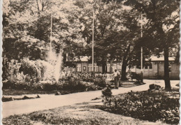 Strehla  1962  Pionierpark - Andere & Zonder Classificatie