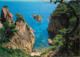 Espagne - Espana - Cataluna - Costa Brava - Cala Marquesa - CPM - Voir Scans Recto-Verso - Gerona