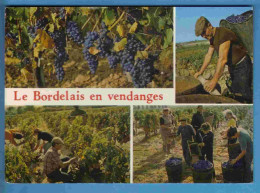 Vignes - Le Bordelais En Vendanges - Multivues - Ecrite En 1988 - Weinberge