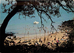 17 - Ile D'Aix - Baby-Plage - Scènes De Plage - CPM - Voir Scans Recto-Verso - Andere & Zonder Classificatie