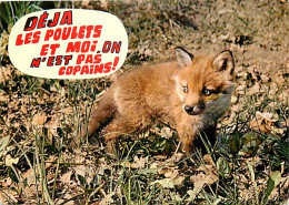 Animaux - Renards - Renardeau - Carte Humoristique - Fox - CPM - Voir Scans Recto-Verso - Autres & Non Classés