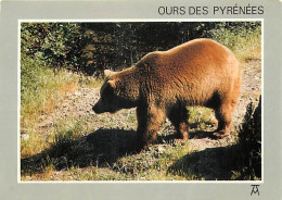Animaux - Ours - Ours Des Pyrénées - Bear - CPM - Carte Neuve - Voir Scans Recto-Verso - Bären