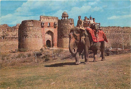 Animaux - Eléphants - Inde - India - Delhi - Purana Quilla ( Old Fort ) - CPM - Voir Scans Recto-Verso - Elephants