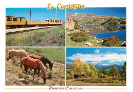 Animaux - Chevaux - Cerdagne - Multivues - Petit Train Jaune - Voir Scans Recto Verso  - Horses