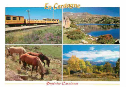 Animaux - Chevaux - Cerdagne - Multivues - Petit Train Jaune - Voir Scans Recto Verso  - Pferde