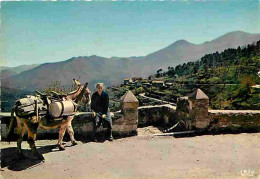 Animaux - Anes - Corse - Porteuse De Lait - CPM - Voir Scans Recto-Verso - Donkeys