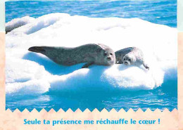 Animaux - Phoques - CPM - Voir Scans Recto-Verso - Autres & Non Classés