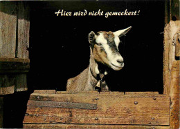 Animaux - Chèvres - Carte à Message Humoristique - CPM - Voir Scans Recto-Verso - Sonstige & Ohne Zuordnung
