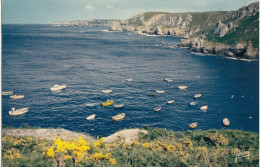 PETIT PORT DE PECHE SUR LA COTE SAUVAGE 22842 - Sonstige & Ohne Zuordnung