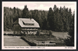 AK Falkau /Schwarzw., Pension Haus Sonnwärts  - Autres & Non Classés