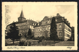 AK Bad König, Stahlbad Und Schloss, Parkpartie  - Bad Koenig