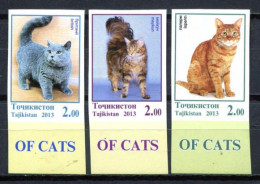 Tajikistan 2013 / Cats Imperforate MNH Non Dentele Gatos Chats Katzen / Hk47  36-8 - Hauskatzen