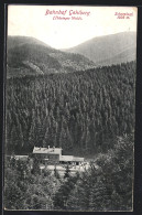 AK Gehlberg, Blick Auf Den Bahnhof Im Thüringer Wald  - Autres & Non Classés