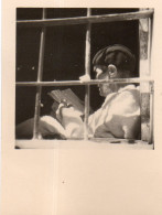 Photo Vintage Paris Snap Shop- Homme Men Méiron  Livre Book - Other & Unclassified