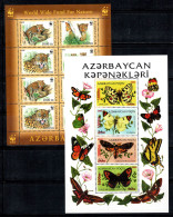 Azerbaïdjan 2005 Mi. 592-595,Bl.60 Bloc Feuillet 100% Neuf ** Tigre, Papillons - Azerbaiján