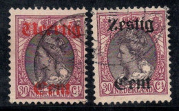 Pays-Bas 1919 Mi. 95-96 Oblitéré 100% Surimprimé Reine Wilhelmine - Used Stamps