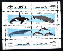 Islande 1999 Mi. Bl. 23 Bloc Feuillet 100% Neuf ** Dauphins, Baleines - Hojas Y Bloques