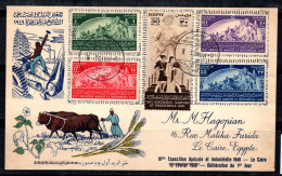 Égypte 1949 Enveloppe 100% Oblitéré Le Caire, L'agriculture - Briefe U. Dokumente