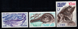 Territoire Antarctique Français TAAF 1977 Mi. 117-19 Neuf ** 100% Animaux De L'Antarctique - Unused Stamps