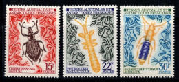 Territoire Antarctique Français TAAF 1972 Mi. 78-80 Neuf ** 100% Insectes, 15 Fr.. - Unused Stamps